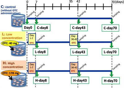 Tetracycline Resistance Gene Profiles in Red Seabream (Pagrus major) Intestine and Rearing Water After Oxytetracycline Administration